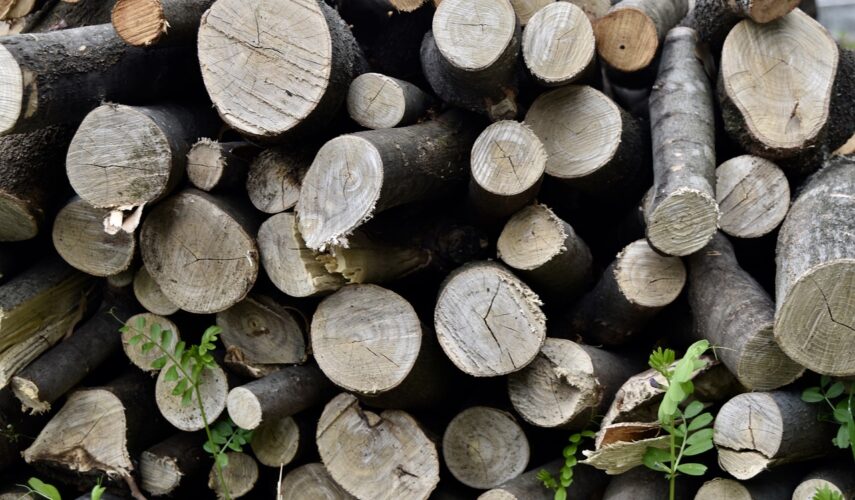 Milwaukee m18 fchs akumulatorowa pilarka łańcuchowa