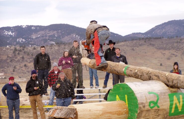 Pilarka łańcuchowa spalinowa partner p350s