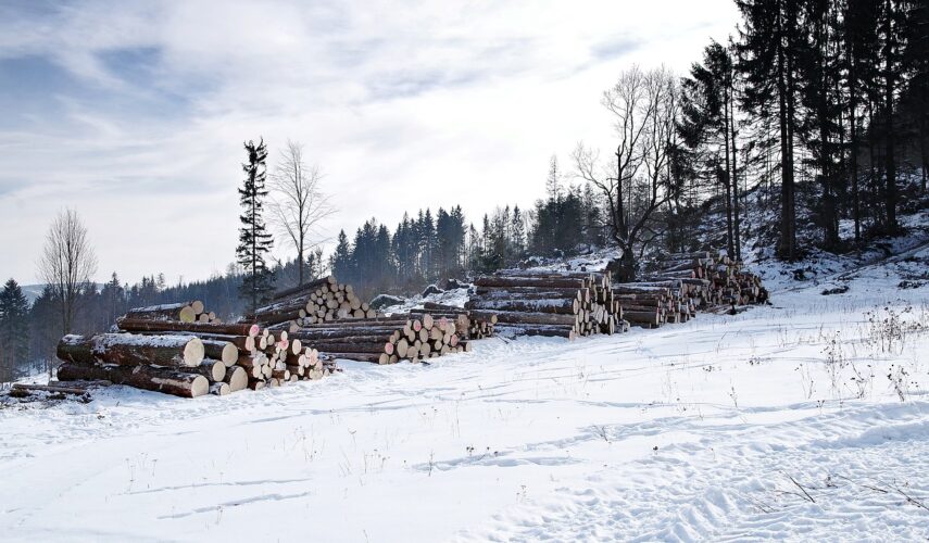 Pilarki elektryczne łańcuchowe