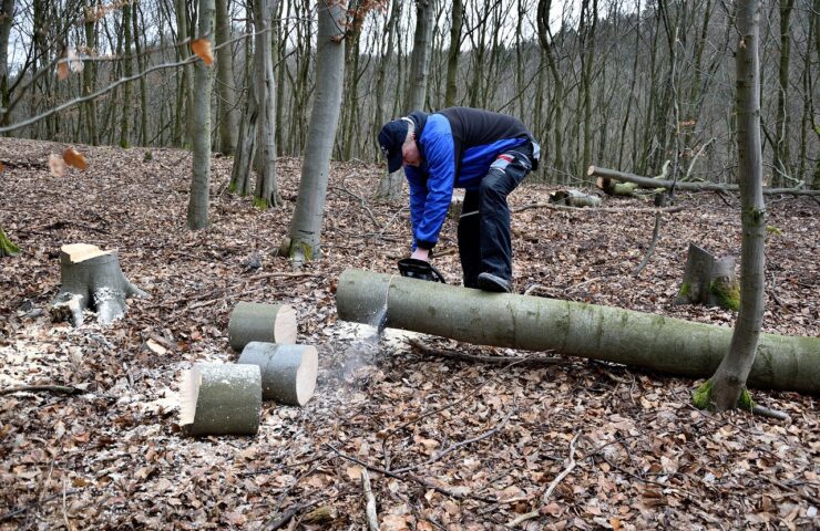 Pilarka łańcuchowa Parkside